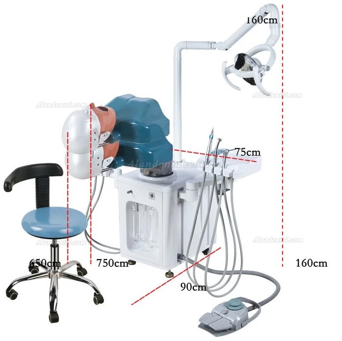 Jingle JG-A2 Dental Student Training Solution Surgery Practice Simulation Unit Compatible with Nissin Kilgore/Frasaco